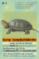 Preview: Quartett Amphibien und Reptilien