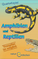 Preview: Quartett Amphibien und Reptilien