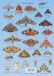 Preview: Bunte Schmetterlinge (Sticker-Buch)
