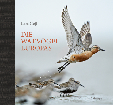 Die Watvögel Europas von Lars Geijl