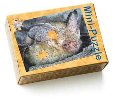 Minipuzzle Fledermaus Braunes Langohr Schachtel