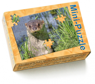 Minipuzzle Fischotter Schachtel