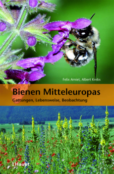 Bienen Mitteleuropas von Felix Amiet / Albert Krebs