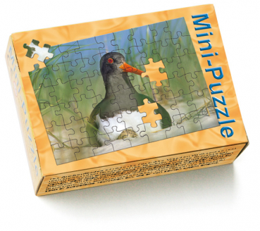 Minipuzzle Austernfischer Schachtel