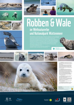 WWF-Poster Robben und Wale (ungefaltet)
