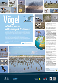 WWF-Poster Vogelwelt im Wattenmeer (ungefaltet)