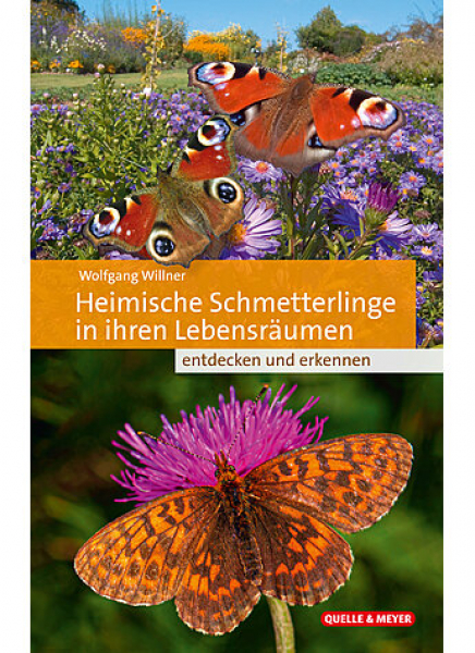 Heimische Schmetterlinge in ihren Lebensräumen von Wolfgang Willner