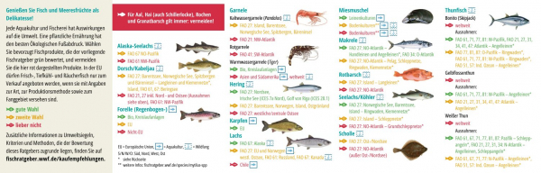 WWF - Einkaufsratgeber 2024 - 2025: Fische und Meeresfrüchte