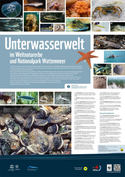 WWF-Poster Unterwasserwelt (ungefaltet)